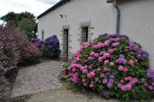 Maisons de vacances Perrault Gites : photos des chambres