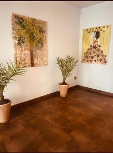 El mejor monoambiente de Villa Devoto