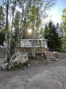 Modern Forest Retreat