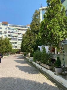 Golem Beach House Luli