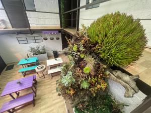 Súper Apartamento central en Casa Colonial Bogotá