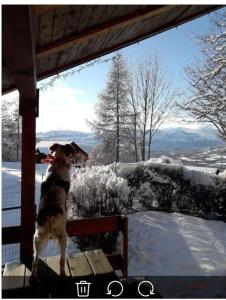 Chalets Chalet jolie vue montagne Air vivifiant : photos des chambres