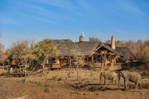 Wonderboom gate Madikwe Game Reserve Madikwe, 2874, South Africa.