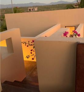 Todas Las Familias, Baja Dream House