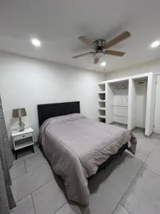 Colibrí - Punta Arena