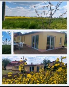 Landleben! Bungalow Feldblick 5 Personen