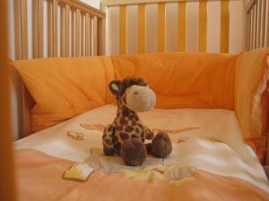 Vigevano loves Milano