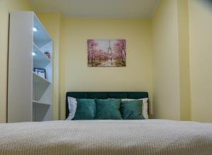 M&M Apartment Stefan Nemanja