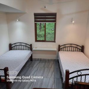 Farm stay in a coffee plantation near Athirappally