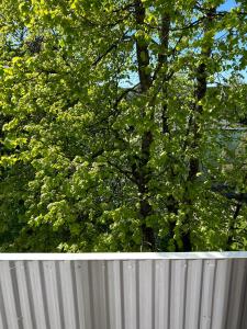 Apartment on the 4th floor