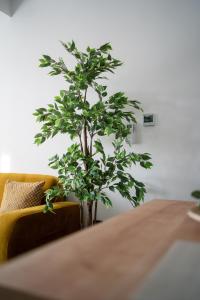 Apartman Alisa Toplice Sveti Martin 