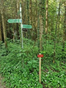 Ferienwohnung Alpenglück