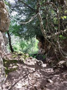 Sa Burra Guest House img30