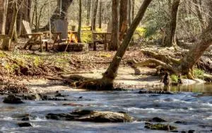 Cozy Creek Cabin Creekside comfort with a firepit and more - Jasper