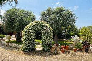 Lucrezias house near the sandy beach parking-wifi