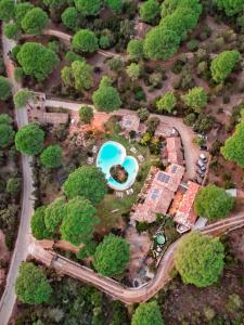 Hotels Hotel Ambassador Palombaggia : photos des chambres