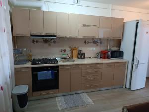 Apartament Radu