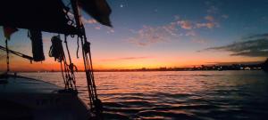 Villa Rebecca Professors paradise