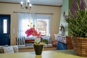 Helens apartment with amazing view