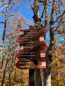 La Casa di Campo Staffi