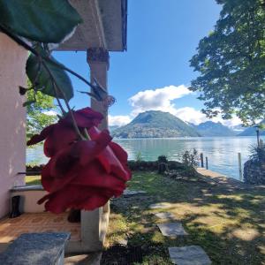 Dream Apartment Room lake 3