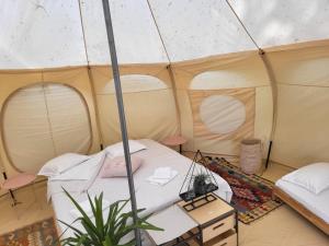 Rock Oak Camping 