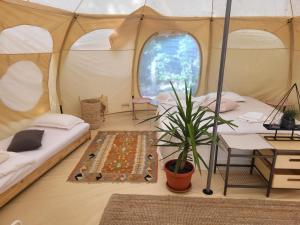 Rock Oak Camping 