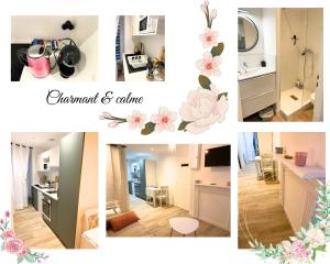 Appartements Charmant studio centre Luchon : Studio