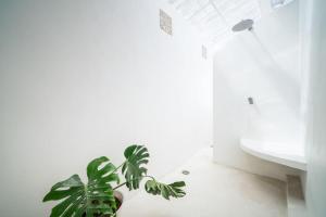 Lovely 3 BR villa with private pool