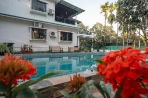 Wildwood Retreat - Awas Beach - Sasawane