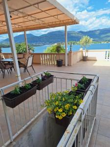 Apartments Klakor PS