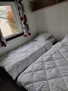 Campings Frederic et Maeva : photos des chambres