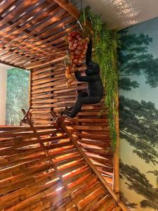 Appartement le paradis sauvage