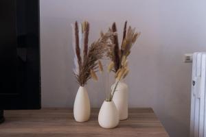 Delias Vatican House Near St Peters