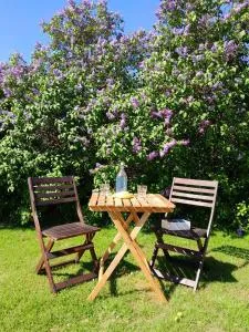 Villa Vi 2 - 维默比