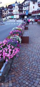 Appartamento Fiorella