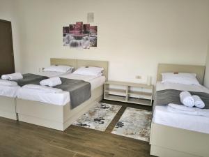 Adriana Touristik Hostel 3 Stele Arad