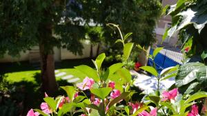 Sejours chez l'habitant Villa Mary : photos des chambres