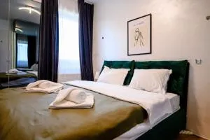 Northern Horizon - Andronache