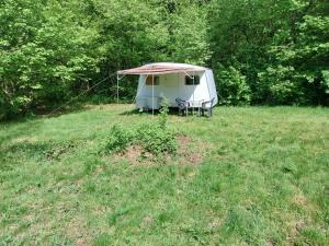Campings CARAVANE Vintage : photos des chambres
