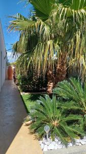 B&B / Chambres d'hotes RUE DU BAC chambre d hotes adultes only : photos des chambres