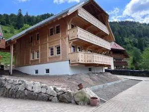 Schwarzwaldhaus - Fewo Fichte, St Blasien - Menzenschwand - St. Blasien