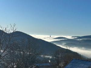Maisons de vacances La Fermette des Vallons - Jacuzzi - Billard : photos des chambres