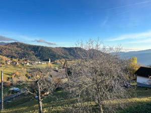 Maisons de vacances La Fermette des Vallons - Jacuzzi - Billard : photos des chambres
