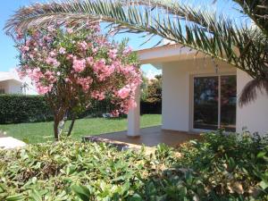 Ferienhaus Cala Vigliena Il Sole Negli Occhi Punta Braccetto Italien