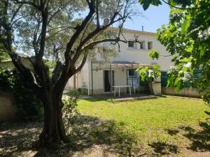 Orteils au soleil jardin parking - Маргерит