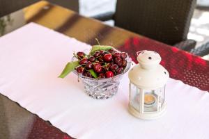 Relaxing and cozy apartments with pool Sara&Nino