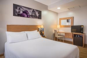 Single Room room in Tryp Jerez Hotel