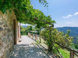 Apartment Podere Cima a Zano - Apt-Fienile PCA107 by Interhome