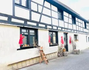 Le cœur d'Alsace 2 à 6 pers à 5 min de Ribeauvillé - 伊亚厄塞尔恩